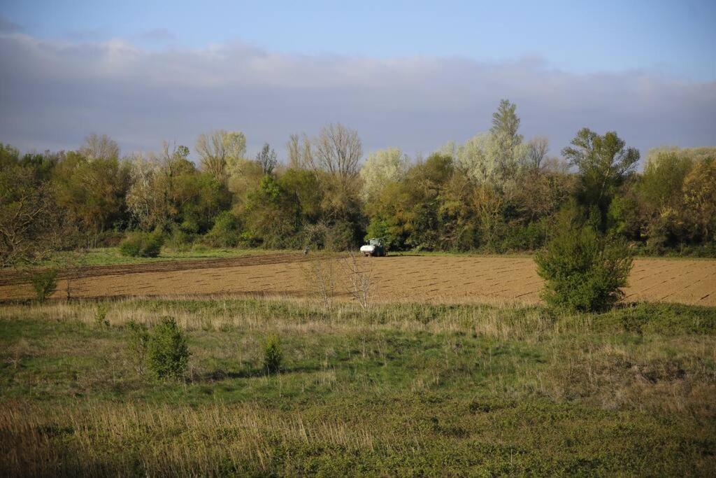 Domaine Villecarla Villedubert Buitenkant foto